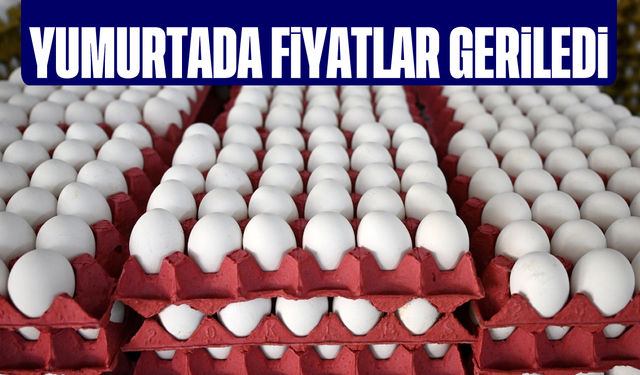 Yumurtada fiyatlar geriledi