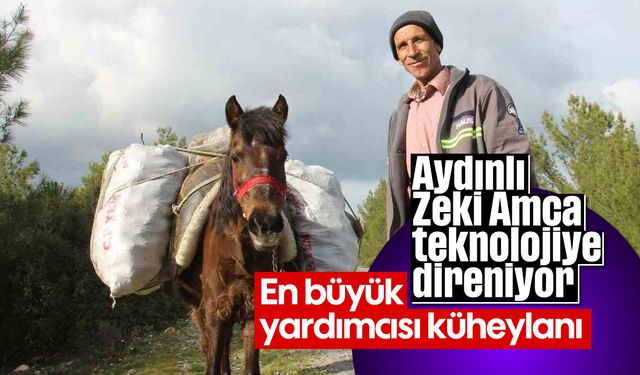 Aydınlı Zeki Amca teknolojiye direniyor: En büyük yardımcısı küheylanı