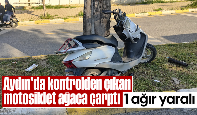 Asayiş