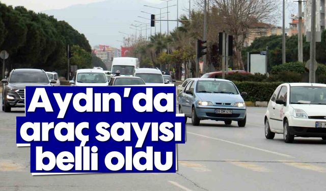 Aydın’da araç sayısı belli oldu