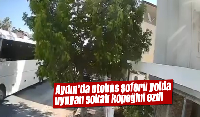 Asayiş