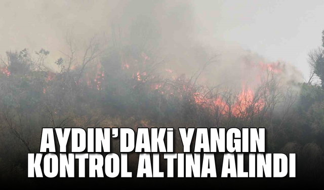 Asayiş