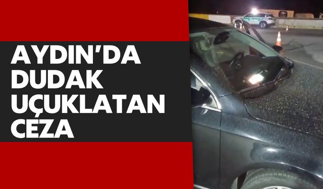 Aydın'da dudak uçuklatan ceza