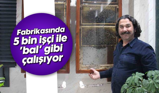 Fabrikasında 5 bin işçi ile ’bal’ gibi çalışıyor