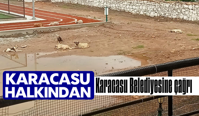 Karacasu halkından Karacasu Belediyesine çağrı