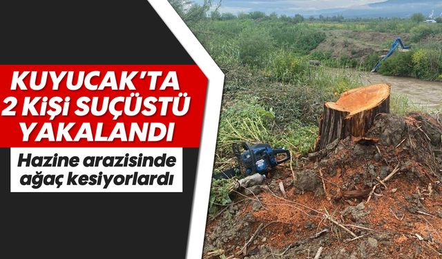 Asayiş
