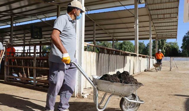 Nazilli Belediyesi’nden hayvan pazarında temizlik seferberliği