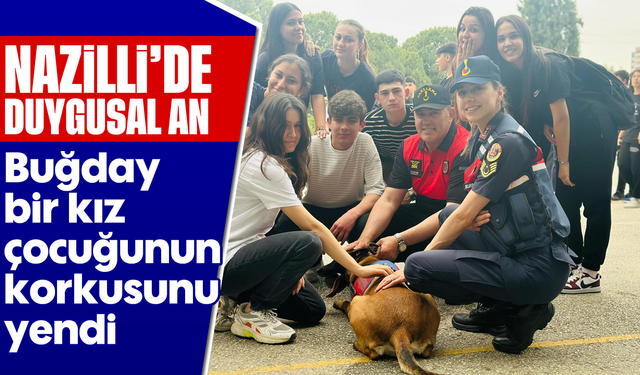 Nazilli'de duygusal an: Buğday bir kız çocuğunun korkusunu yendi