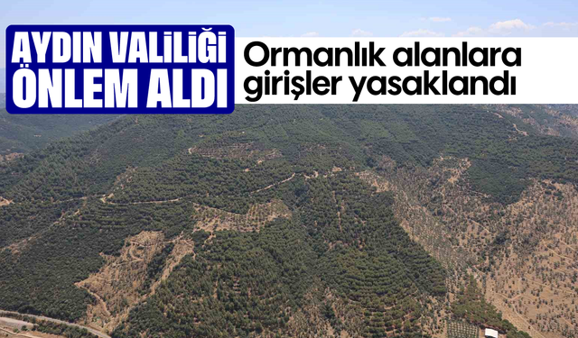 Aydın Valiliği önlem aldı: Ormanlık alanlara girişler yasaklandı
