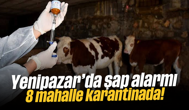 Yenipazar’da şap alarmı: 8 mahalle karantinada!