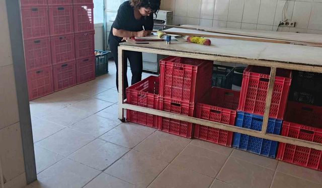 Söke’de riske dayalı gıda işletmeleri denetlendi