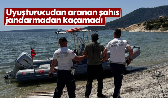 Asayiş