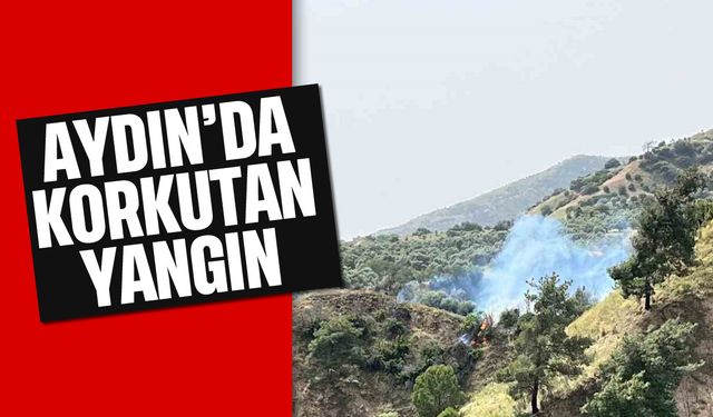 Asayiş