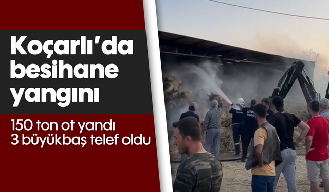 Koçarlı'da besihane yangını: 150 ton ot yandı, 3 büyükbaş telef oldu