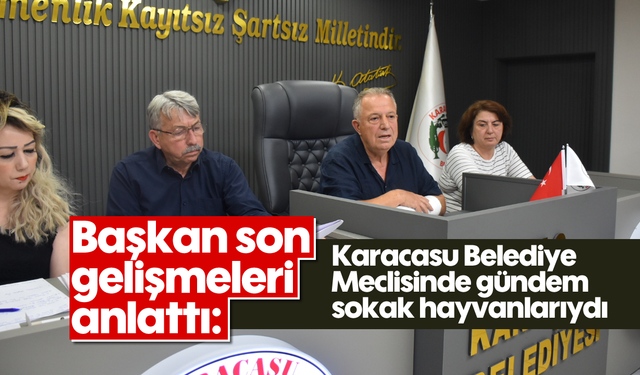 Başkan son gelişmeleri anlattı: Karacasu Belediye Meclisinde gündem sokak hayvanlarıydı