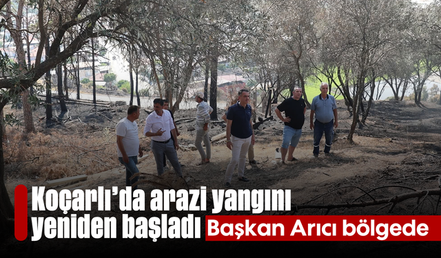 Koçarlı'da arazi yangını yeniden başladı: Başkan Arıcı bölgede