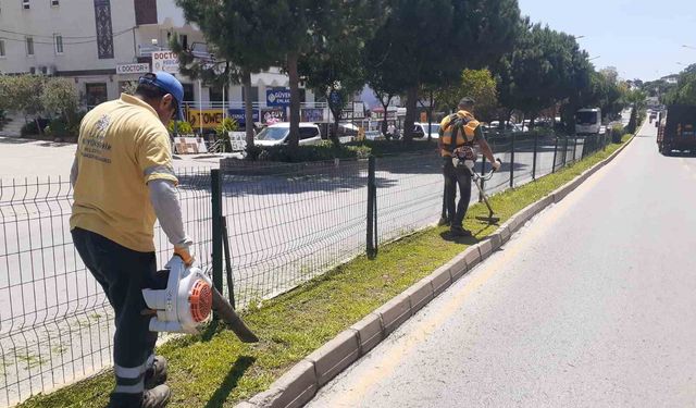 Başkan Çerçioğlu’ndan Aydın’a yeşil dokunuş