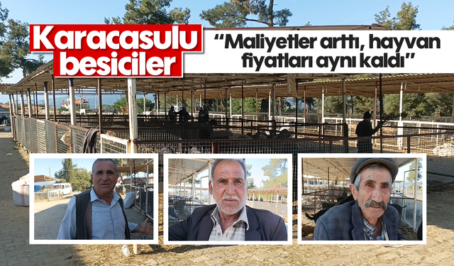 Karacasulu besiciler: 'Maliyetler arttı, hayvan fiyatları aynı kaldı'