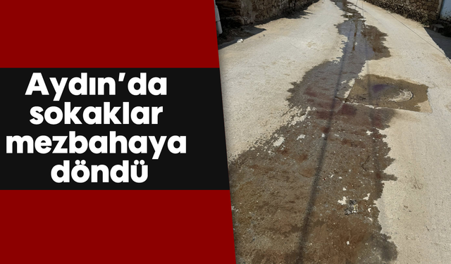 Aydın’da sokaklar mezbahaya döndü