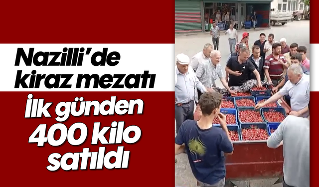 Nazilli’de kiraz mezatı: İlk günden 400 kilo satıldı