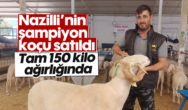 Nazilli’nin şampiyon koçu satıldı: Tam 150 kilo ağırlığında