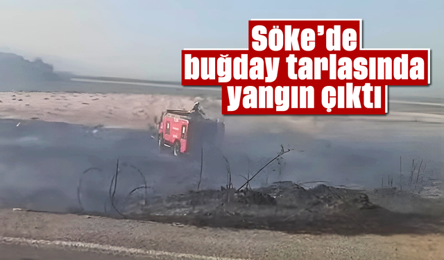 Asayiş
