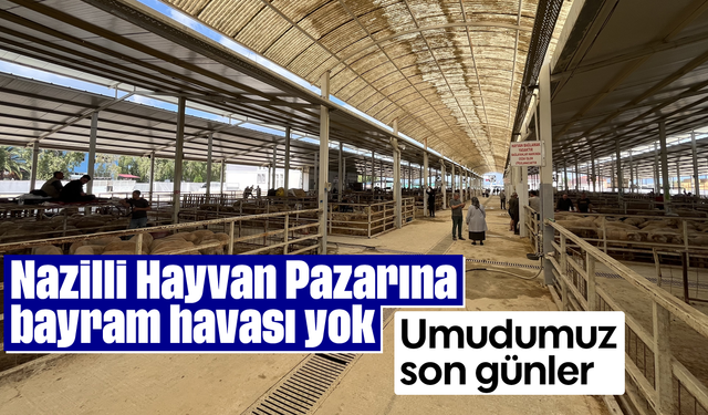 Nazilli Hayvan Pazarına bayram havası yok, "Umudumuz son günler"