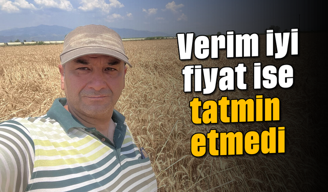 Verim iyi, fiyat ise tatmin etmedi