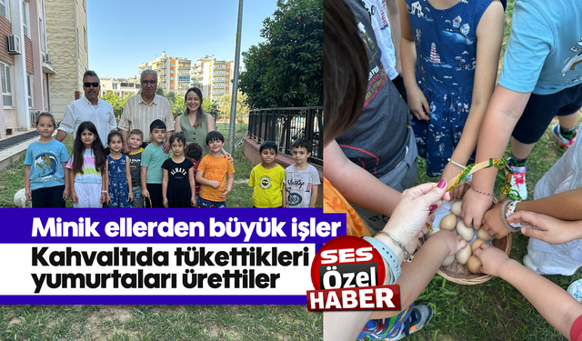 Minik ellerden büyük işler: Kahvaltıda tükettikleri yumurtaları ürettiler