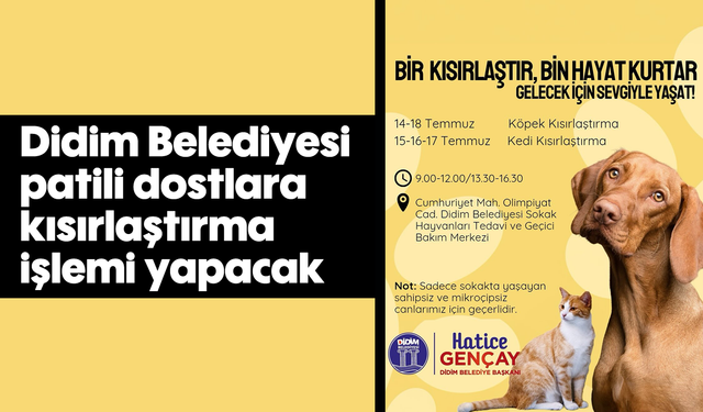 Didim Belediyesi patili dostlara kısırlaştırma işlemi yapacak