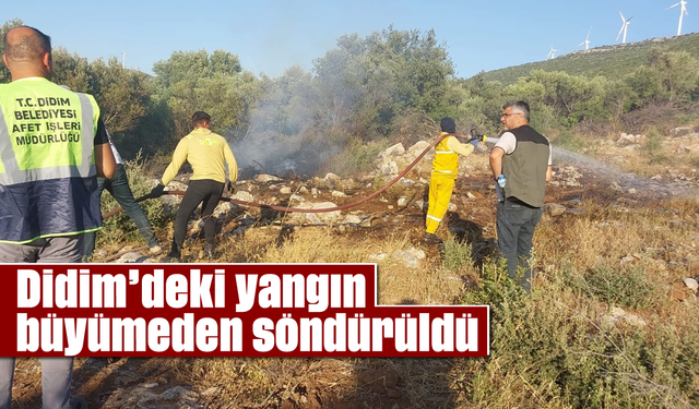 Didim'deki yangın büyümeden söndürüldü