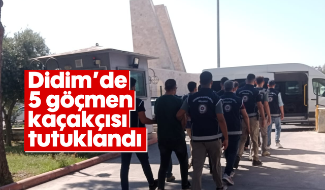 Asayiş