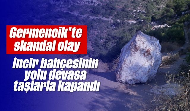 Germencik’te skandal olay: İncir bahçesinin yolu devasa taşlarla kapandı