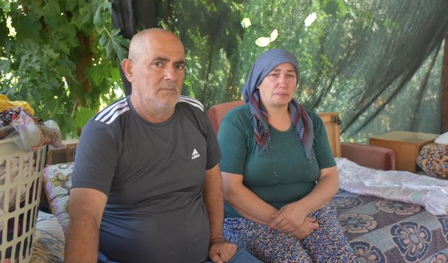 Karacasu'da evi yanan aile yardım bekliyor