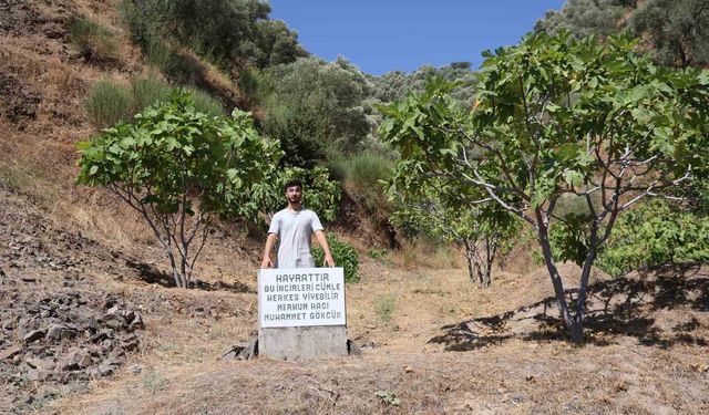 Aydın'da hayırsever çiftçiden örnek davranış: Mezar taşı değil, ‘herkes yesin’ uyarısı