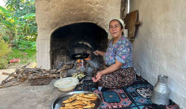 Aydın'ın bu köyünde patlıcan et kadar kıymetli