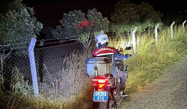 Germencik’te jandarma incir hırsızlıklarını önlemek için sahada