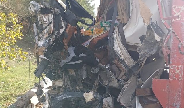 Aydın'da direksiyon hakimiyetini kaybeden tır demir bariyere çarptı