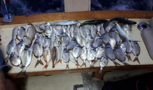 Balık tutkunların tercihi Didim