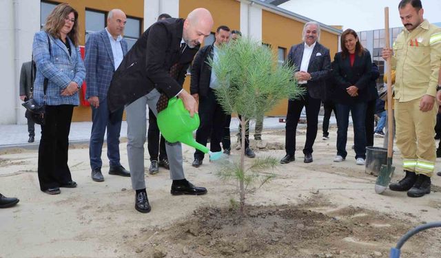 "Orman yoksa su da yok, yaşam da yok"