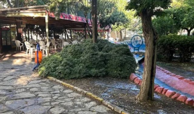 Didim’de “Merkez Park” tartışmasında ikinci randevu