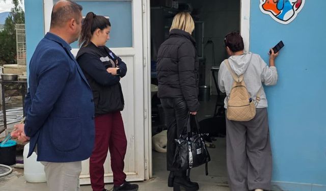 Hayvan Haklarında Didim’de farkındalık artıyor