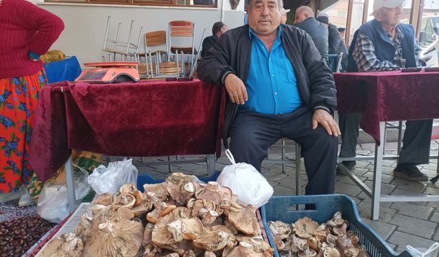 Karacasu'da çıntarda yok yılı: Yağışlarla birlikte çıntar da azaldı