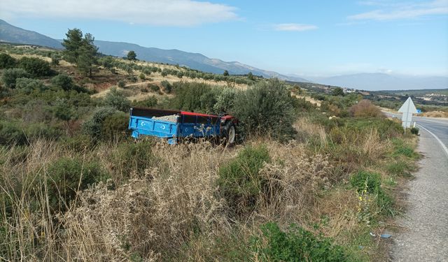 Karacasu'da feci kaza: Traktörden düşen gurbetçi hayatını kaybetti