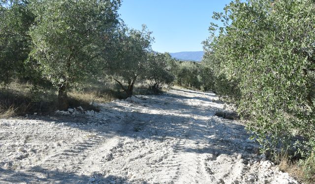 Karacasu'da izinsiz kazı yapılan tarlada mağduriyet giderildi