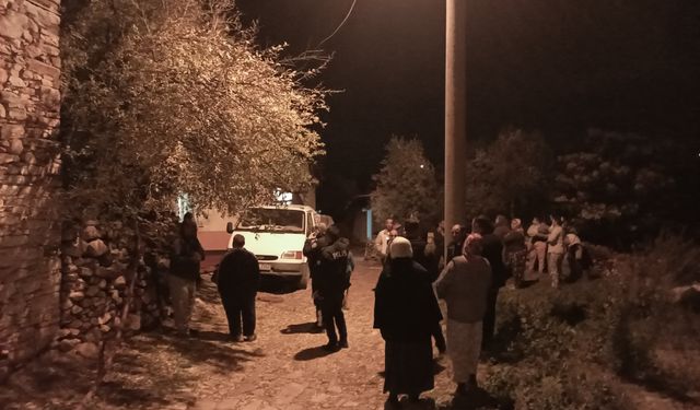 Karacasu'da korku dolu anlar: Mahalleli sokağa döküldü