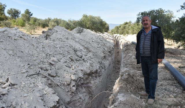 Karacasu'da tarlasına giden emekli öğretmen şok yaşadı