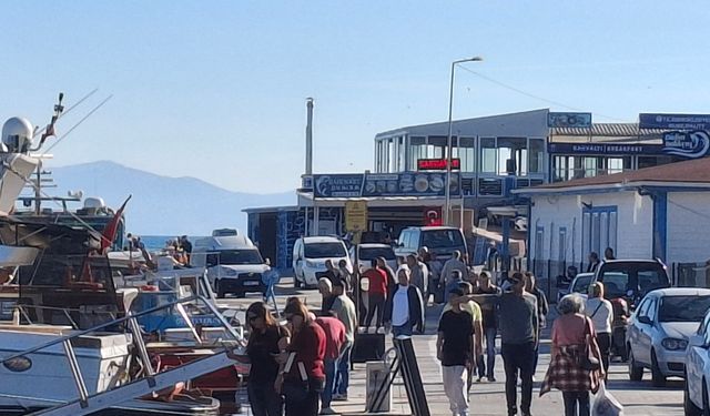 Kasım ayında Didim'de sarı yaz