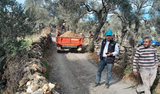 Zeytinciler istedi, Büyükşehir yaptı