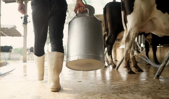 Aydın’a 66 milyonluk süt desteği